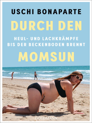 cover image of Durch den Momsun
